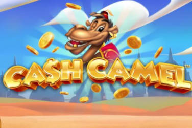 Cash Camel