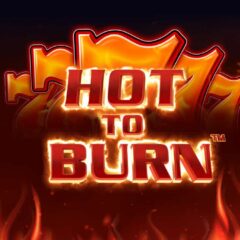 Castiga 12 500 RON in urma unei singure rotiri la turneul Hot to Burn